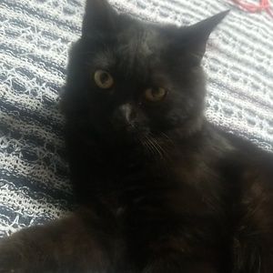 Meet your Posher, Lynn